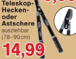 Wiglo Wunderland Teleskop Hecken oder Astschere Angebot