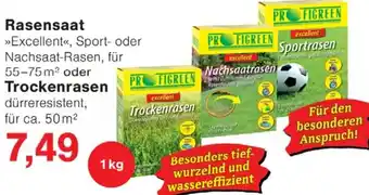 Wiglo Wunderland Rasensaat oder Trockenrasen Angebot