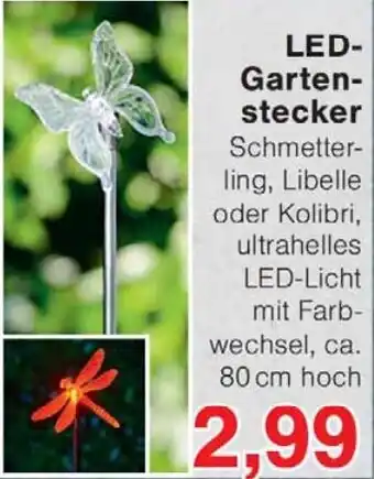 Wiglo Wunderland LED Gartenstecker Angebot