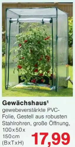 Wiglo Wunderland Gewächshaus Angebot