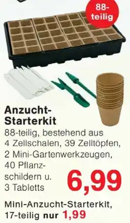 Wiglo Wunderland Anzucht Starterkit Angebot