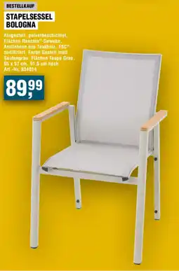 Handelshof STAPELSESSEL BOLOGNA Angebot