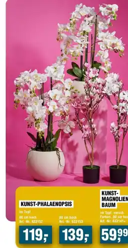 Handelshof KUNST-PHALAENOPSIS Angebot