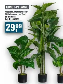 Handelshof KUNST-PFLANZE Angebot