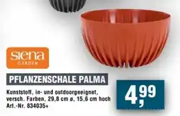 Handelshof Siena GARDEN PFLANZENSCHALE PALMA Angebot