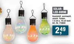 Handelshof SOLAR- LED-BIRNE Angebot