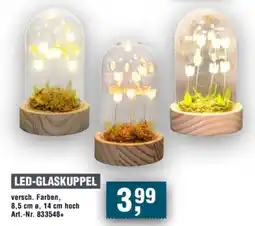 Handelshof LED-GLASKUPPEL Angebot