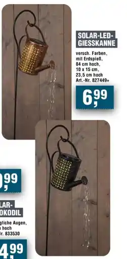 Handelshof SOLAR-LED- GIESSKANNE Angebot