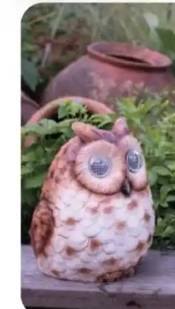 Handelshof SOLAR-EULE Angebot