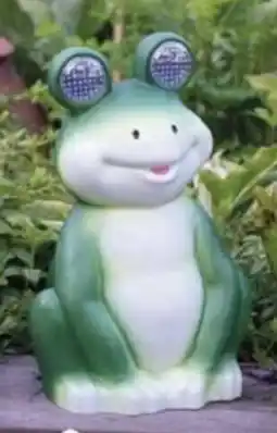 Handelshof SOLAR- FROSCH Angebot