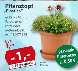 Sonderpreis Baumarkt Pflanztopf ,,Plastica" Angebot