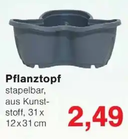 Wiglo Wunderland Pflanztopf Angebot