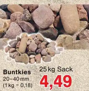 Wiglo Wunderland Buntkies Angebot