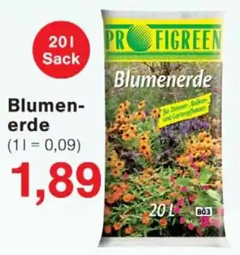 Wiglo Wunderland PROFIGREEN Blumenerde Angebot