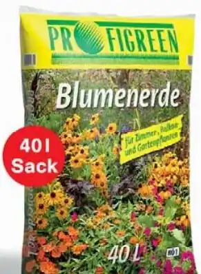 Wiglo Wunderland PROFIGREEN Blumenerde Angebot