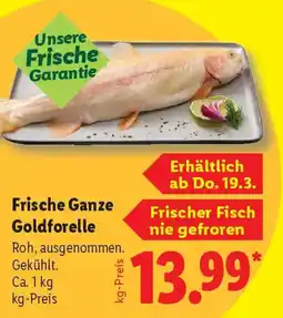 Lidl Frische Ganze Goldforelle Angebot