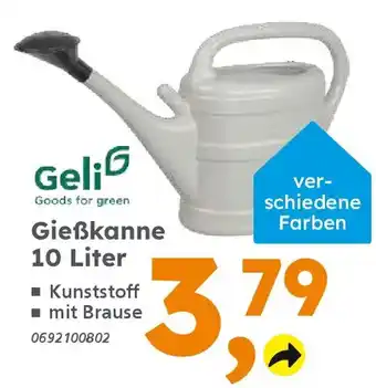 Globus Baumarkt Geli Gießkanne 10 Liter Angebot