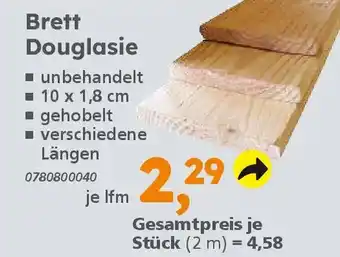 Globus Baumarkt Brett Douglasie Angebot