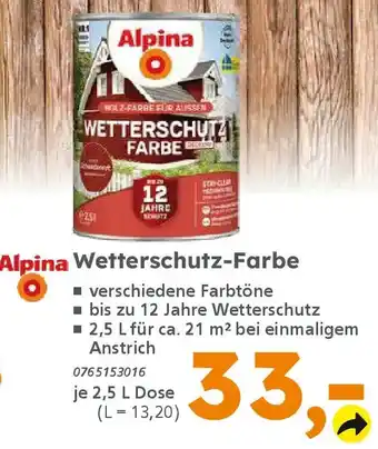 Globus Baumarkt Alpina Wetterschutz-Farbe Angebot