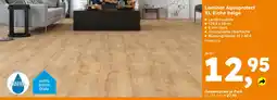Globus Baumarkt Laminat Aquaprotect XL Eiche beige Angebot