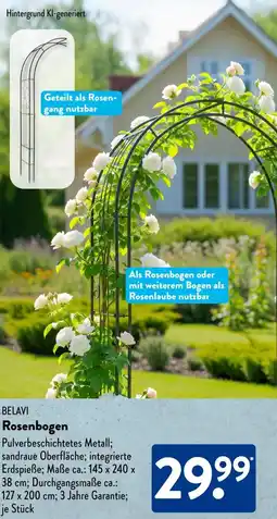 Aldi Süd BELAVI Rosenbogen Angebot