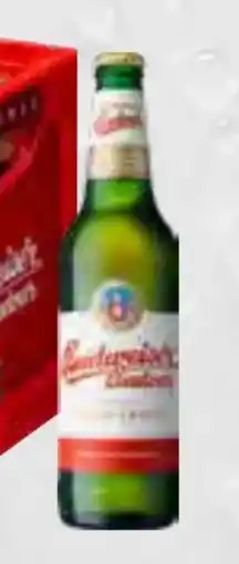 trinkgut Budweiser Budvar (CZ) Premium Lager Angebot