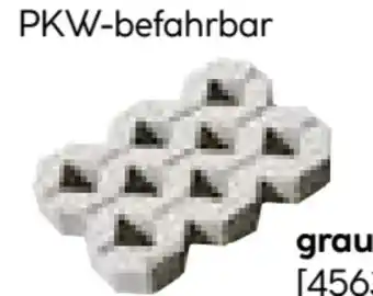 BayWa Bau & Garten Rasengitter Angebot