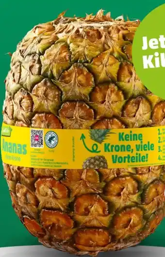 PENNY Marktliebe Ananas Angebot