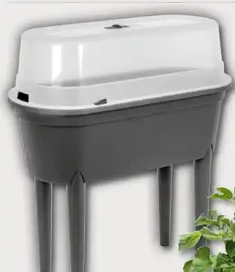PENNY Hochbeet Angebot
