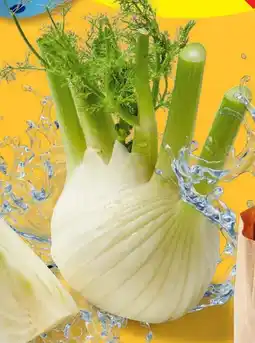 Lidl Fenchel Angebot
