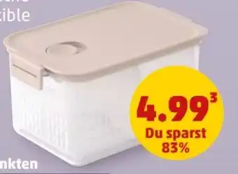 PENNY Brabantia Kühlschrank Frischhalteboxen Angebot