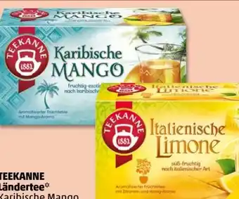 PENNY Teekanne Ländertee Angebot