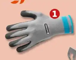 PENNY Gardena Pflanzen handschuhe Angebot