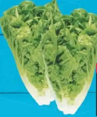 E-Center Mini-Romanasalat Angebot