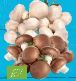 E-Center Bio-Champignons Angebot