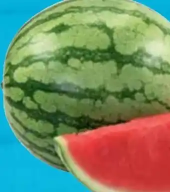 E-Center Wassermelone Angebot