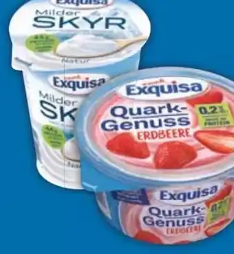 E-Center Exquisa Skyr Angebot