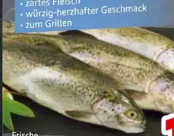 Edeka Regenbogen-Forelle Angebot