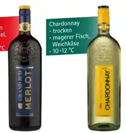 Edeka Grand Sud Merlot Angebot