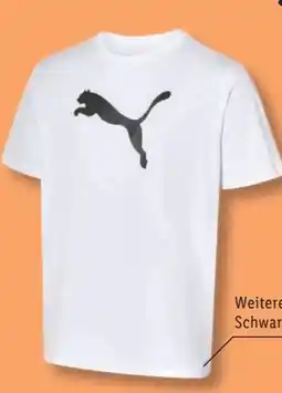 Lidl Puma Herren-T-Shirt Angebot