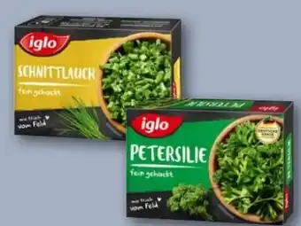 REWE Center Iglo Kräuter Angebot