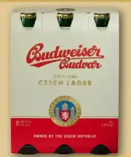 REWE Center Budweiser Budvar (CZ) Premium Lager Angebot