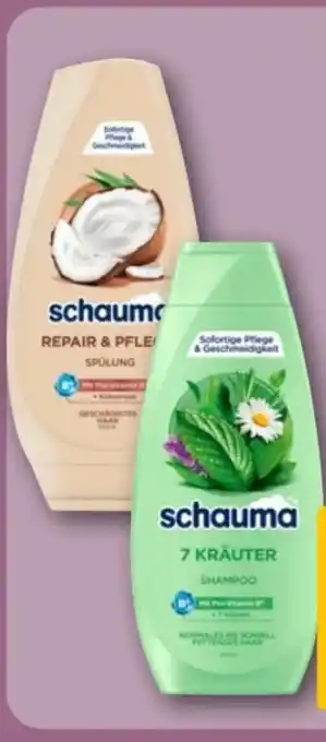REWE Center Schwarzkopf Schauma Spülung Angebot