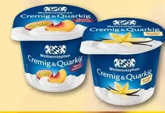 REWE Weihenstephan Cremig & Quarkig Angebot