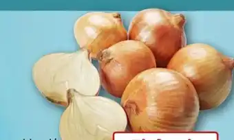REWE Speisezwiebeln Angebot