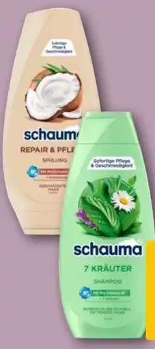 REWE Schwarzkopf Schauma Repair & Pflege Angebot