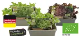 Globus Baumarkt Bio Salat- Gemüsepflanzen Le Jardin Gourmand Angebot