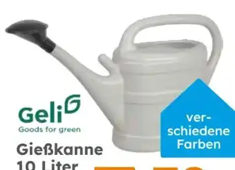 Globus Baumarkt geli Gießkanne Angebot