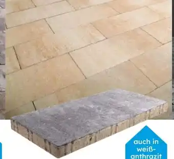 Globus Baumarkt Terrassenplatte Formo Angebot