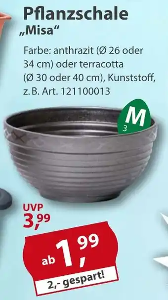 Sonderpreis Baumarkt Pflanzschale ,,Misa" Angebot